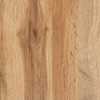 Baxton Studio Glidden ModernOak Brown Finished Wood 2-Door Shoe Storage Cabinet 196-11929-ZORO